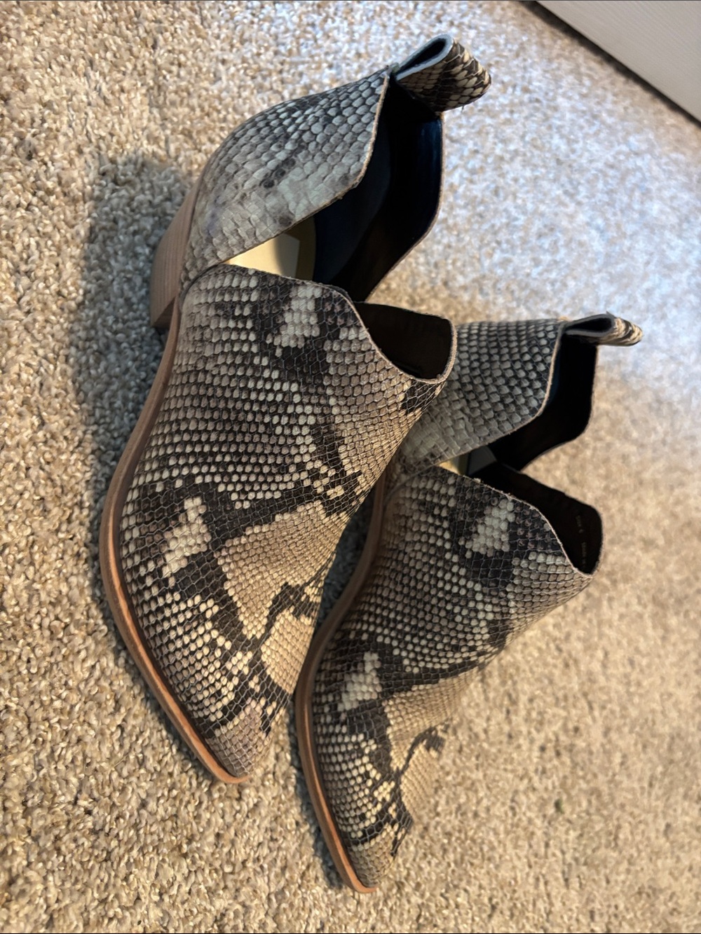 Dolce Vita Women’s Snake-Print Ankle Boots in Gray and Cream